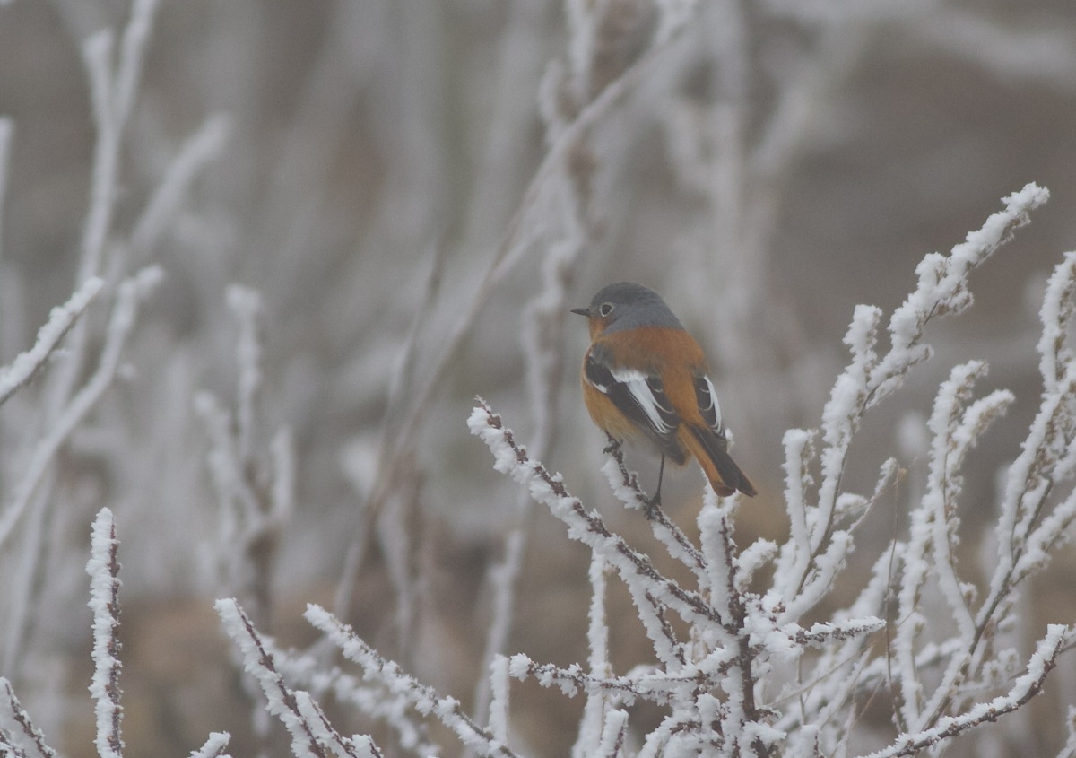 Winter is coming…