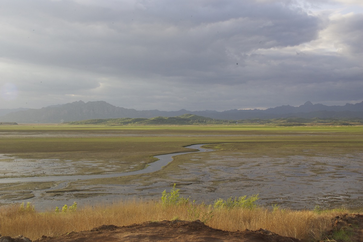 Valuing Wetlands in China