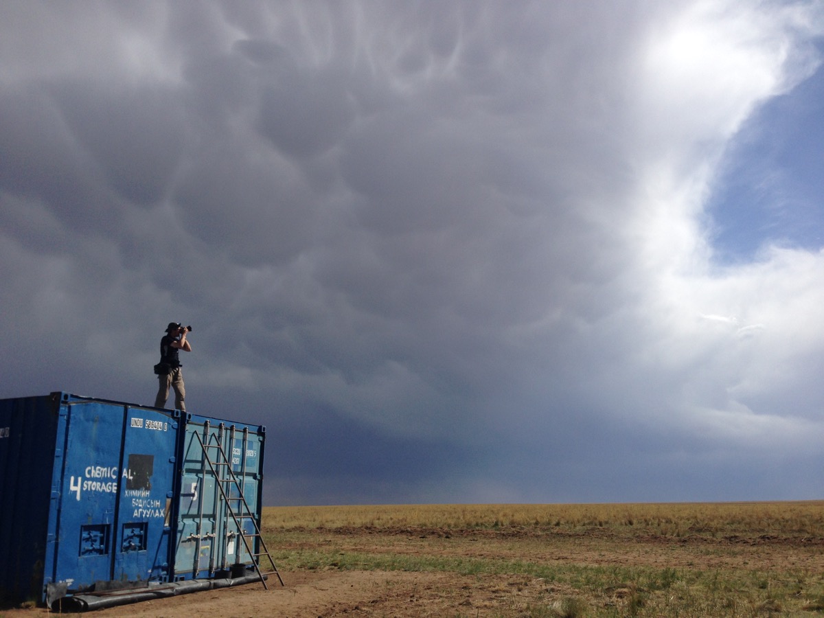 Jankowski’s Bunting Survey In Mongolia Draws A Blank