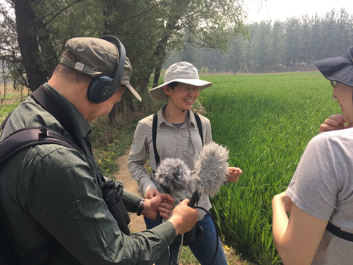 Birding with the BBC