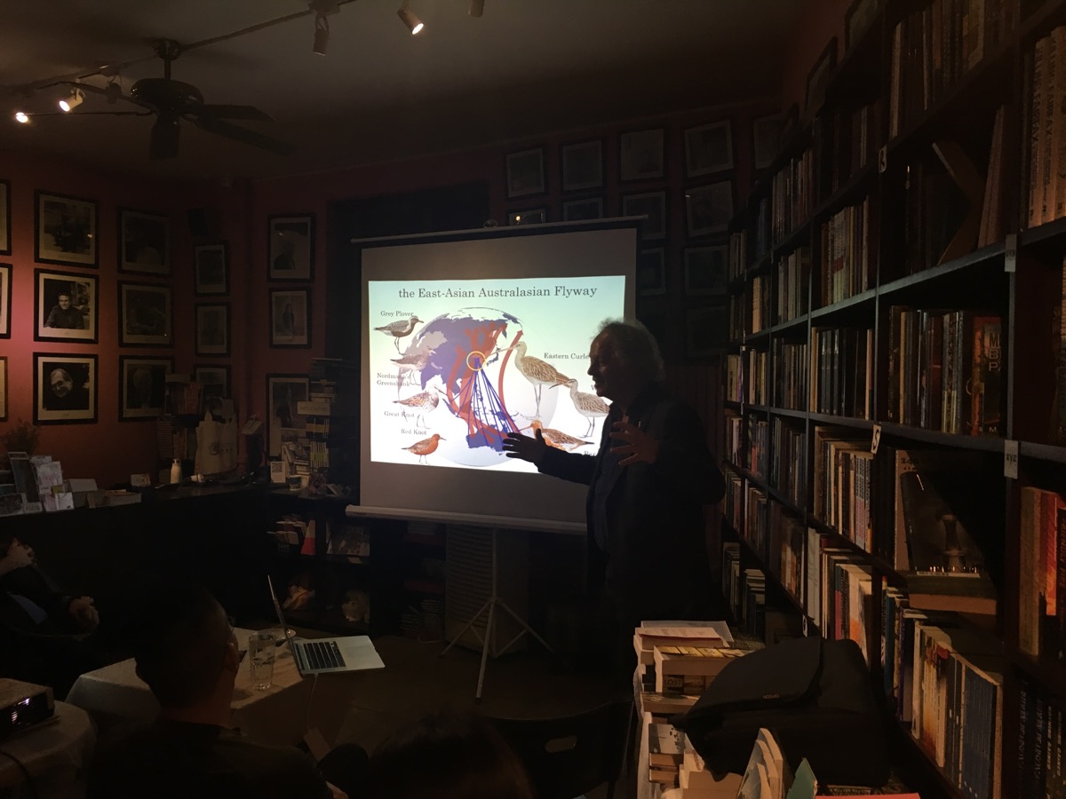 The Yellow Sea And Shorebirds: An Evening With Professor Theunis Piersma