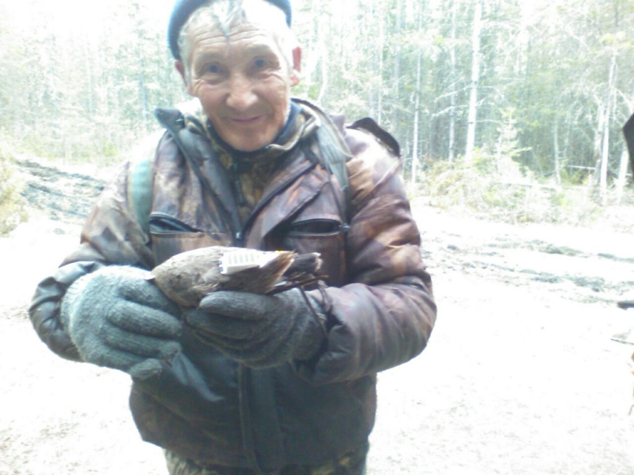 Hunting in Russia: The “Under The Radar” Threat To The East Asian Australasian Flyway?