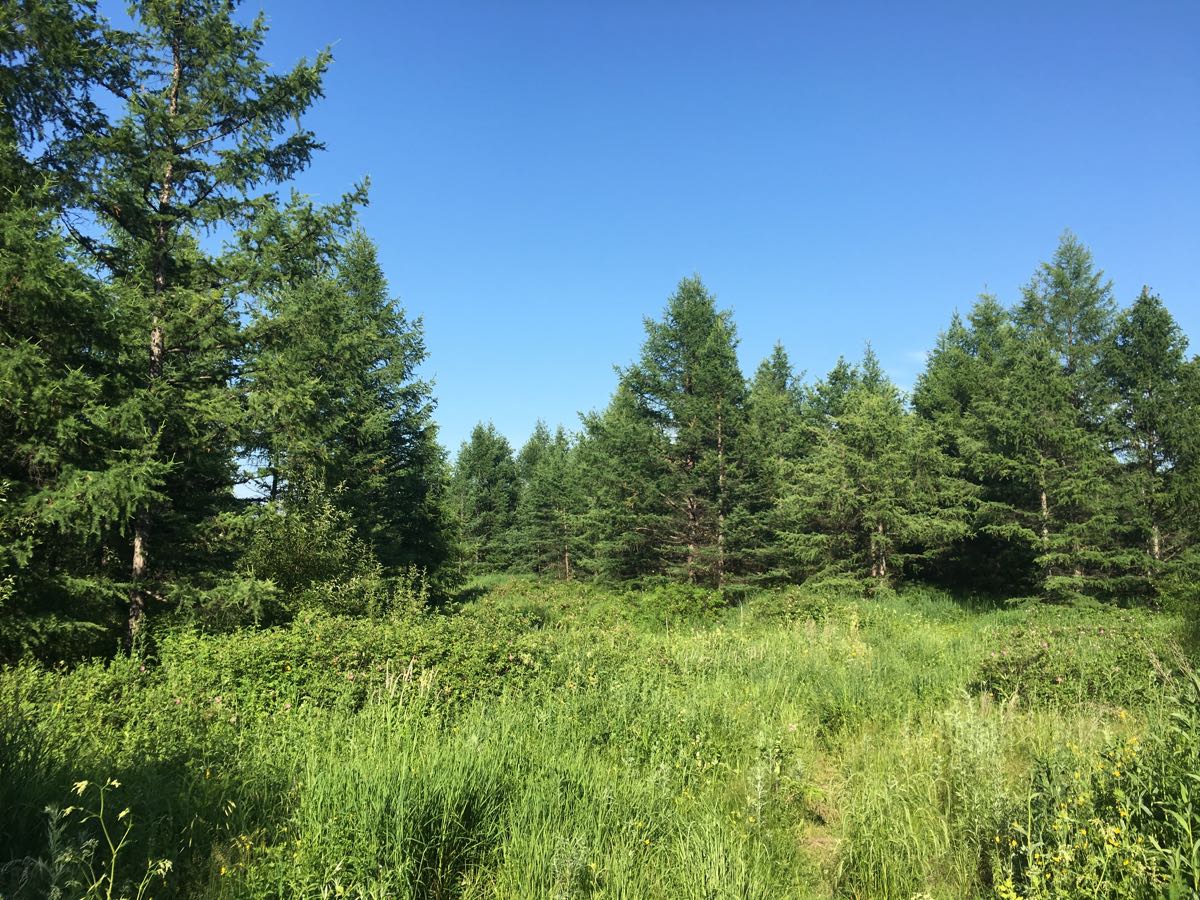 The Sound of Wuerqihan, Inner Mongolia