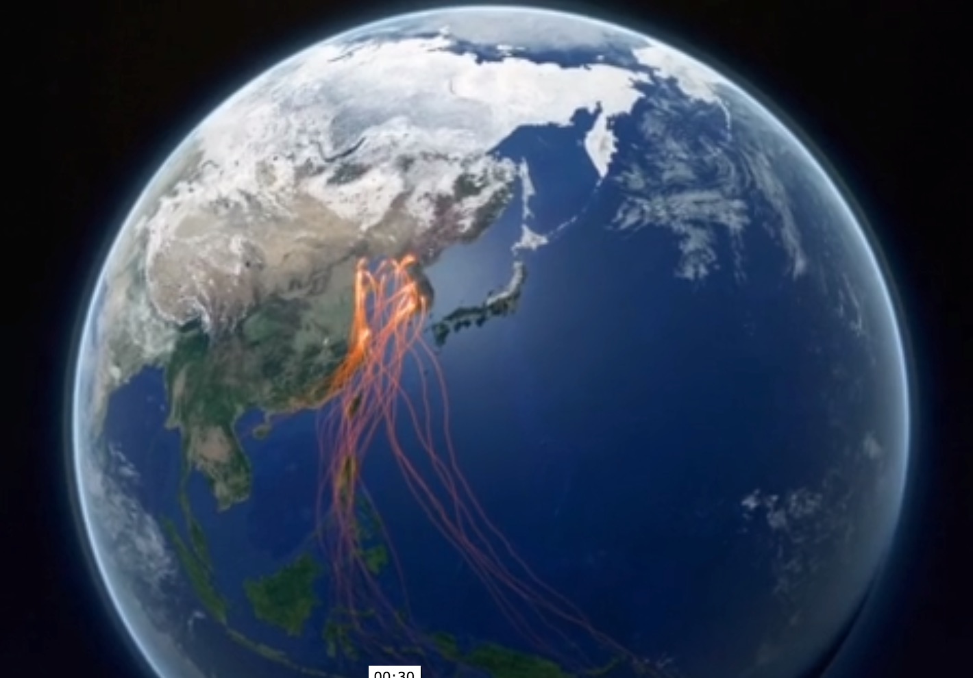 The Yellow Sea: The Highest Conservation Priority In East Asia