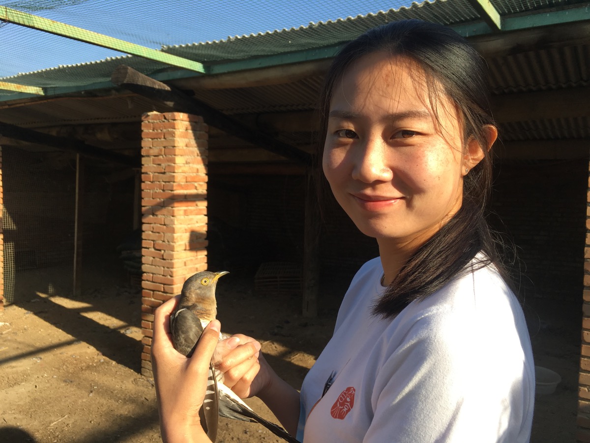 The Beijing Cuckoo Project: Class of 2017