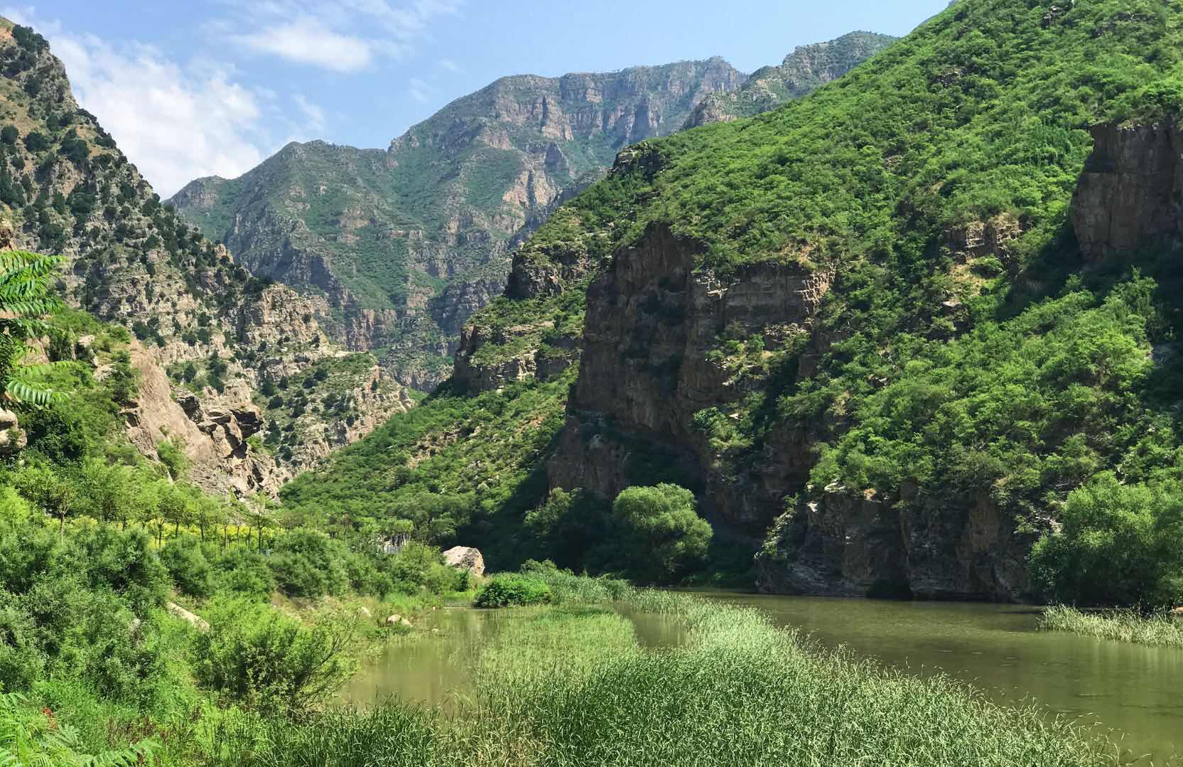 Birding with Chevening Alumni in Beijing