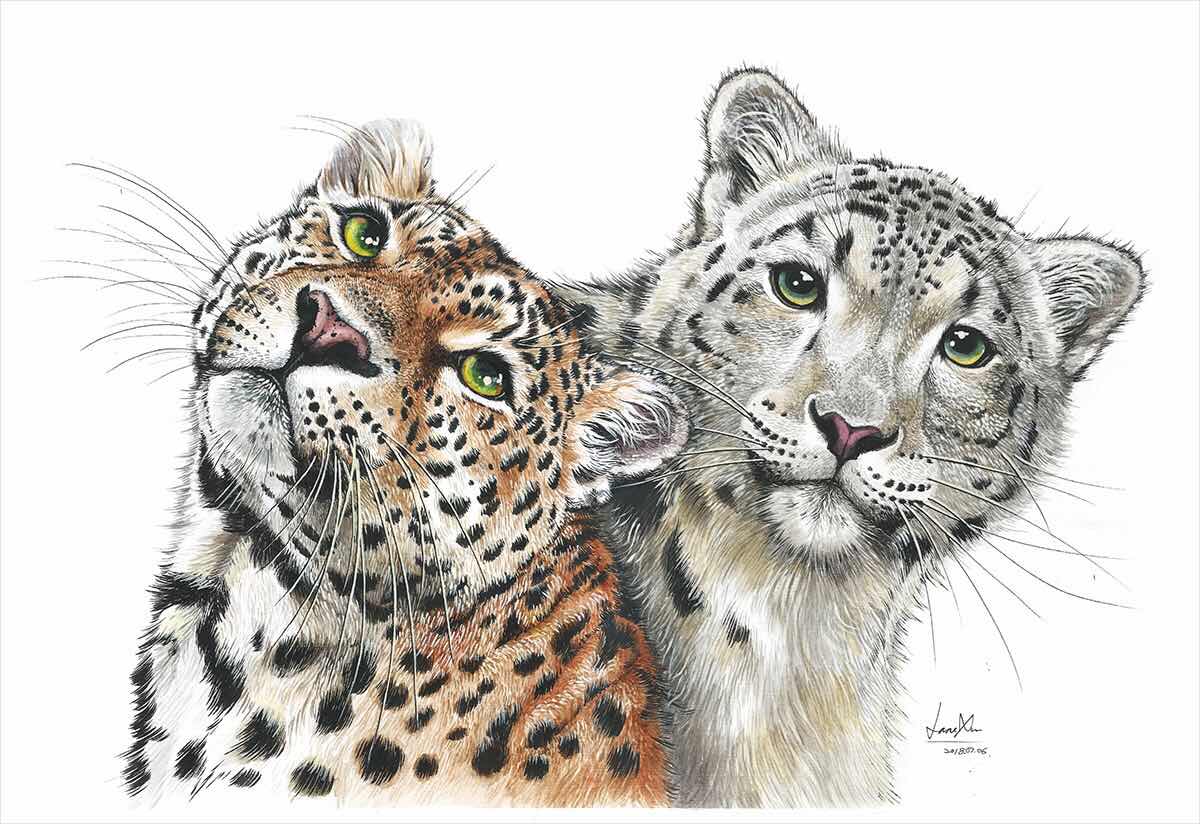 With The Leopards