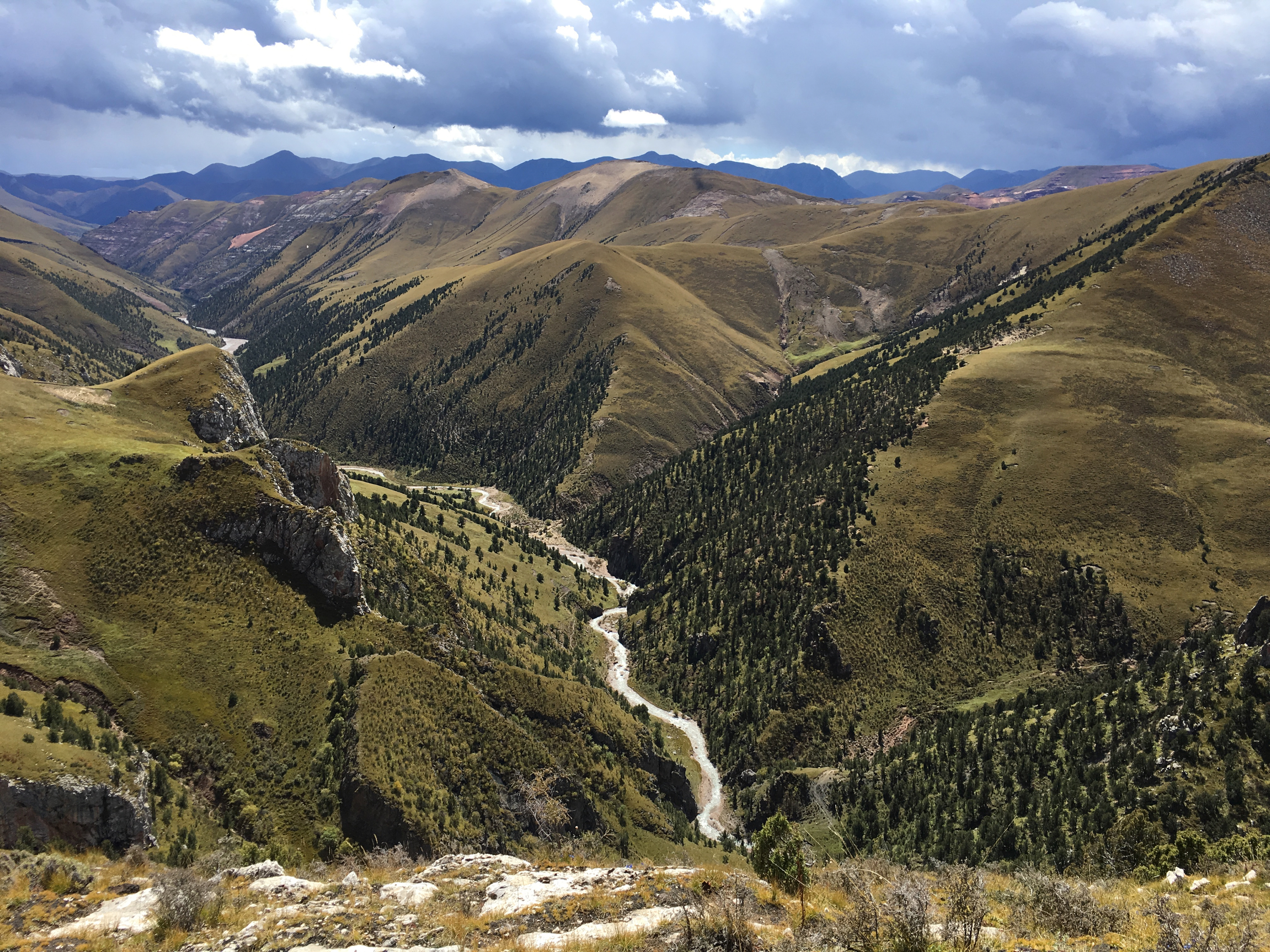 Valley of the Cats awarded first franchise for wildlife tourism in China’s national parks