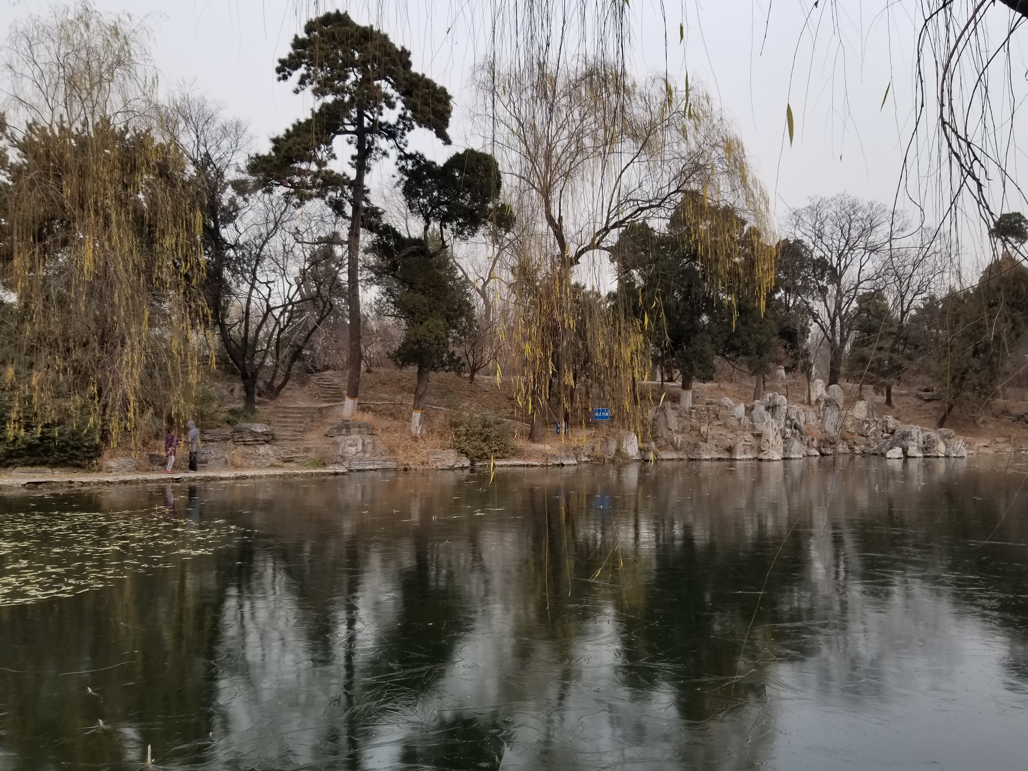 REDWING in Beijing