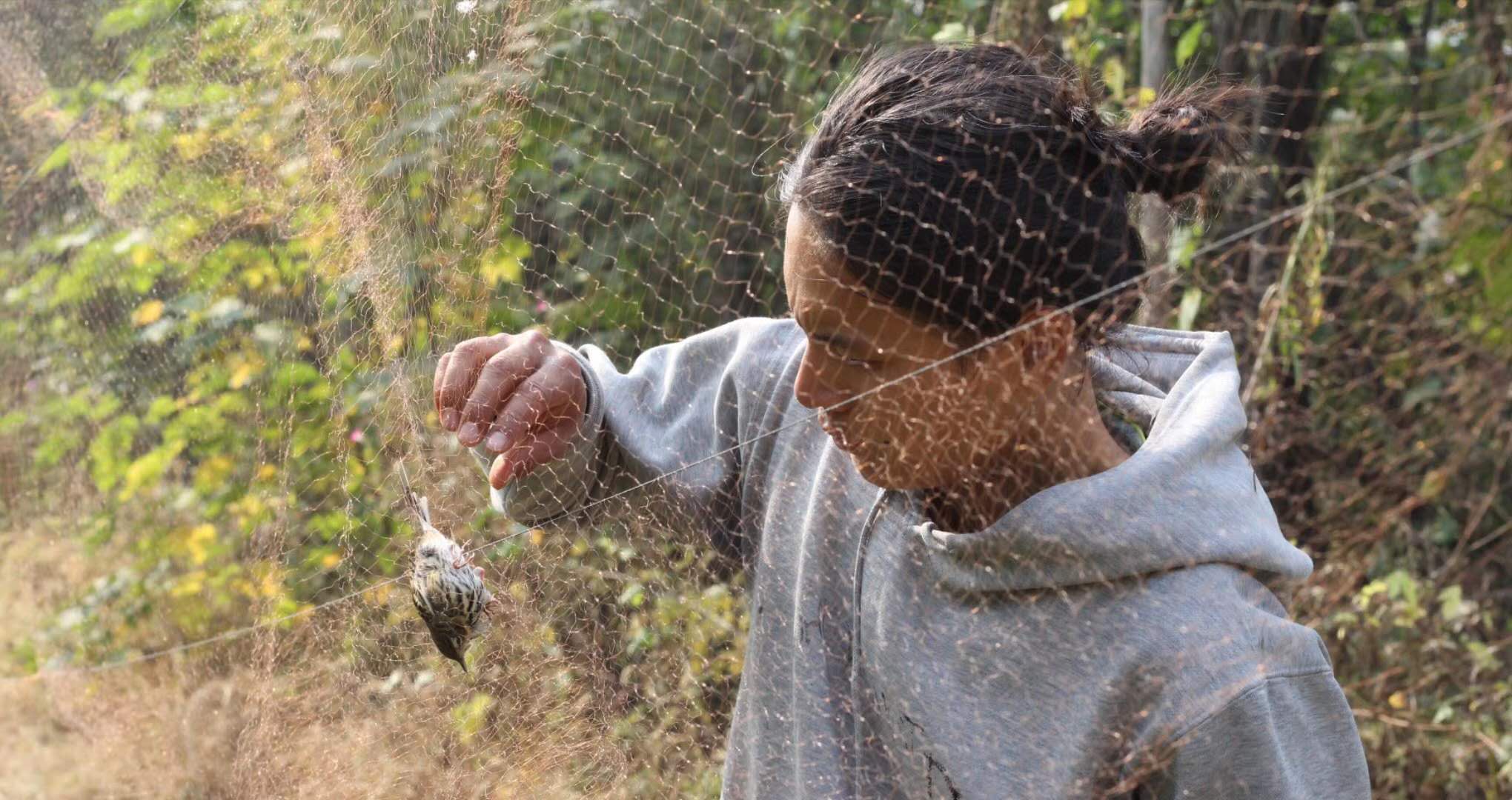 China’s Conservation Heroes: Gu Xuan
