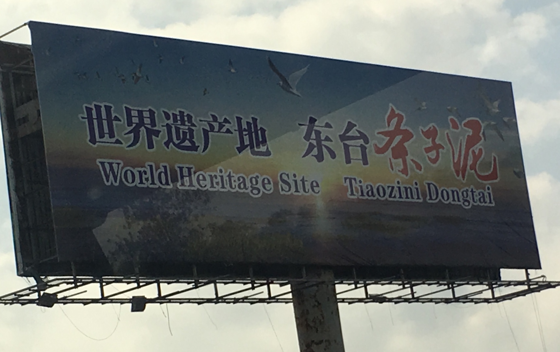 Yancheng planning to become a world-leader on coastal wetland conservation