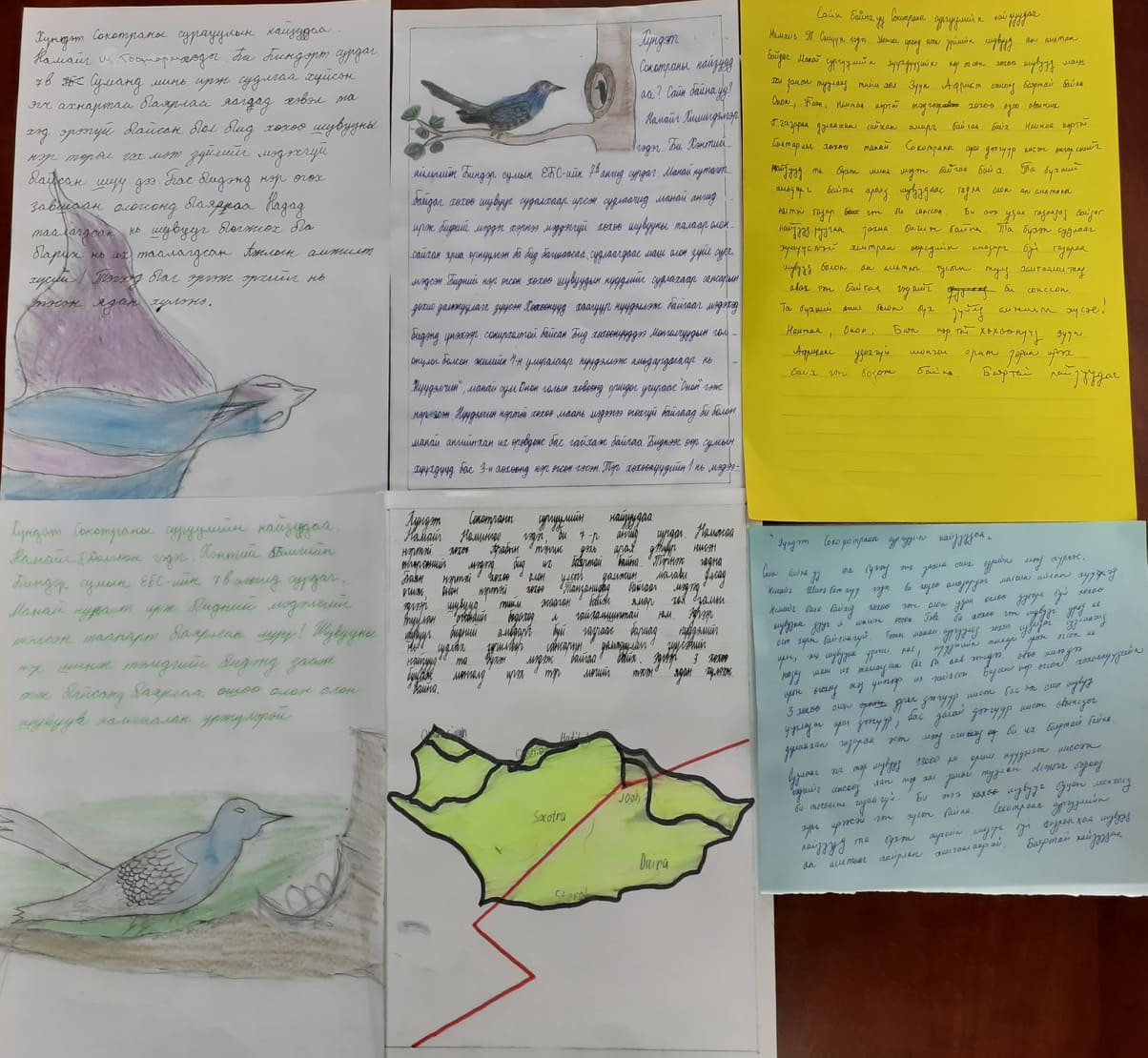 A selection of the letters written by schoolchildren in Mongolia to their counterparts on Socotra