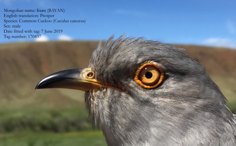 A message from Баян (BAYAN) on International Biodiversity Day