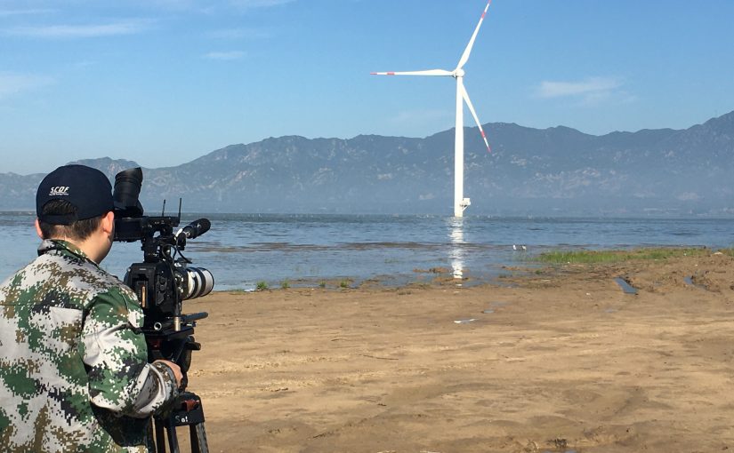 Filming Beijing’s migratory birds with CCTV