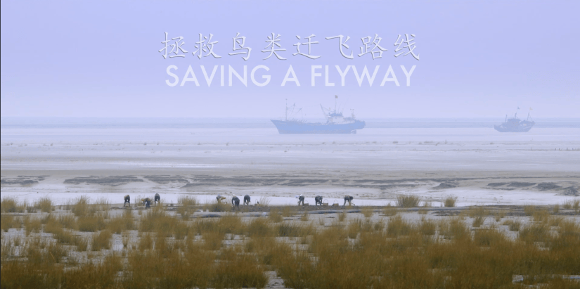 Saving a Flyway