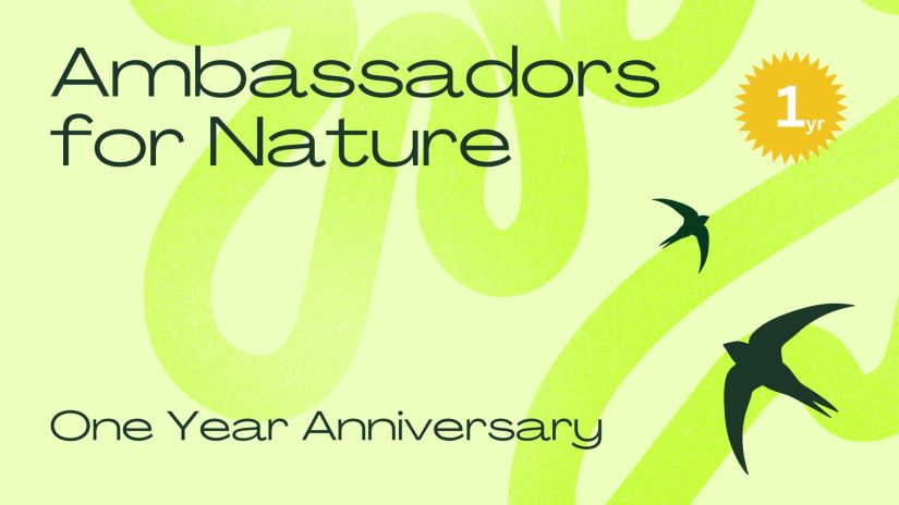 Ambassadors for Nature is One Year Old!