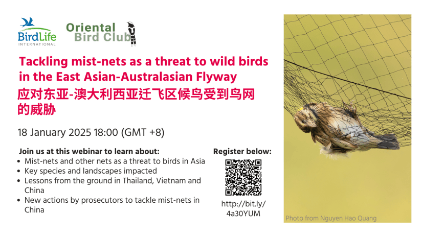 China’s Prosecutors to participate in important webinar on mist nets in Asia
