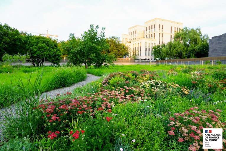 French Embassy Launches Biodiversity Garden