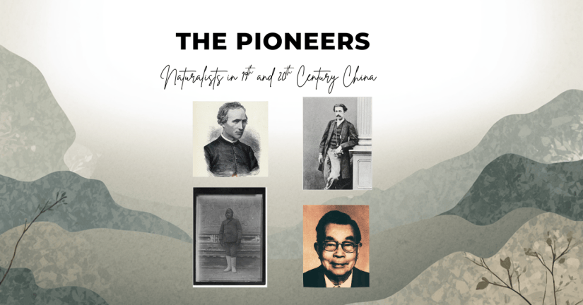 Tso-hsin Cheng: The Father of Chinese Ornithology