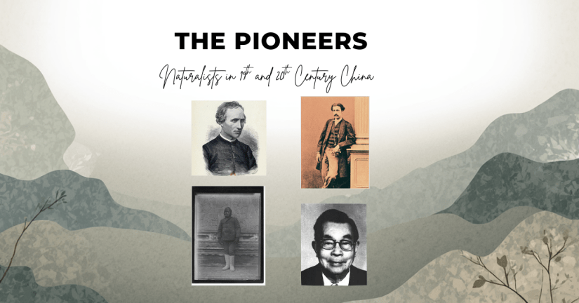 Robert Swinhoe: The Victorian Diplomat Who Helped Document China’s Natural Heritage for Western Science