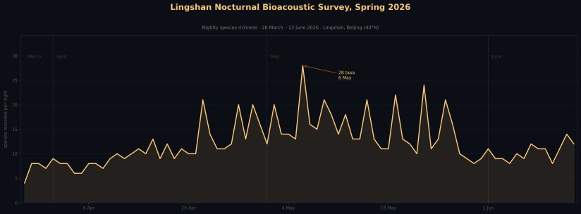 Nocturnal bioacoustic survey in the mountains of Beijing, spring 2026